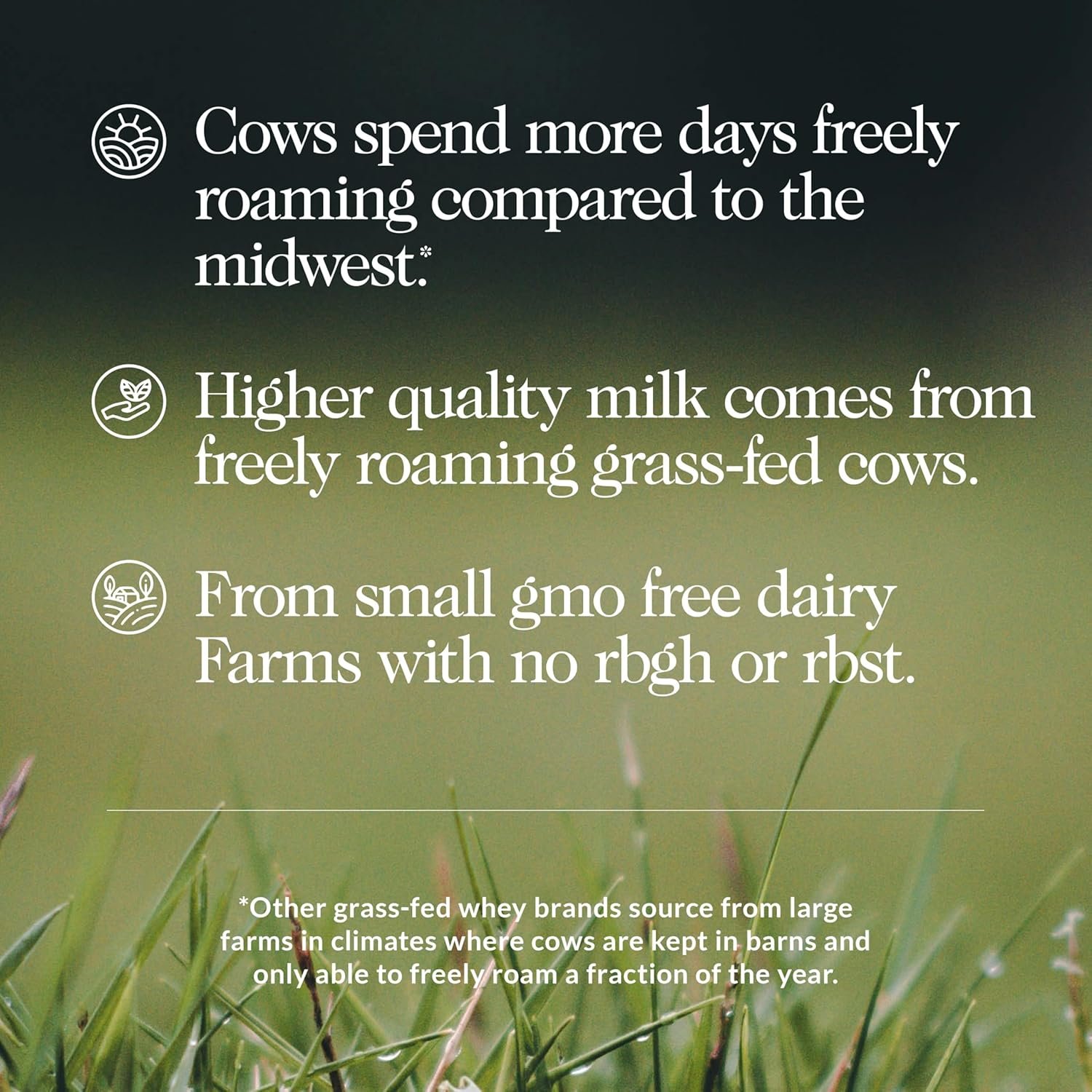 NAKED Vanilla Whey Protein 1Lb, Only 3 Ingredients, All Natural Grass Fed Whey Protein Powder + Vanilla + Coconut Sugar- GMO-Free, Soy Free, Gluten Free. Aid Muscle Growth, 12 Servings